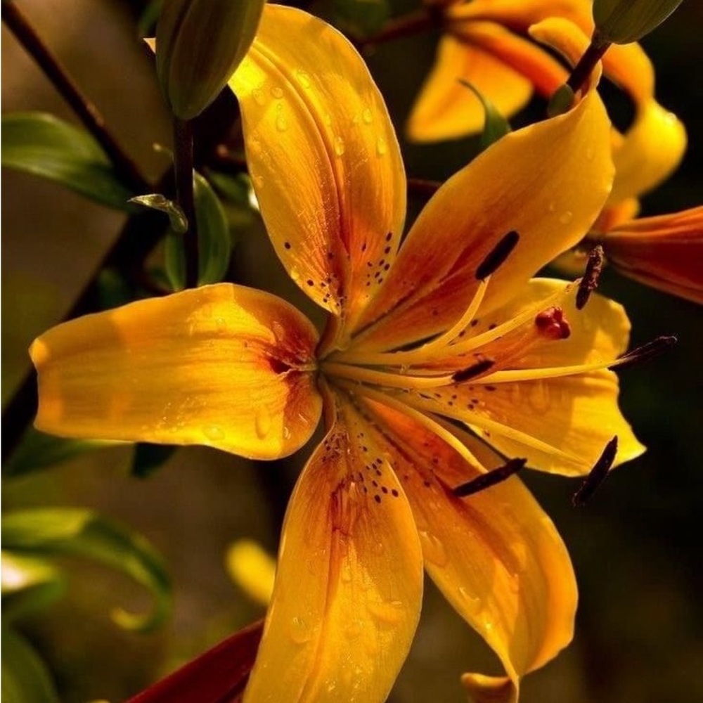 Meet your Posher, Maria C